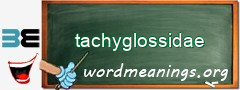 WordMeaning blackboard for tachyglossidae